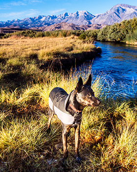 Marty & Owens River